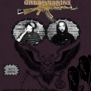 欧美日韩视频免费
